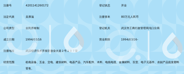 武汉龙凤经贸发展公司